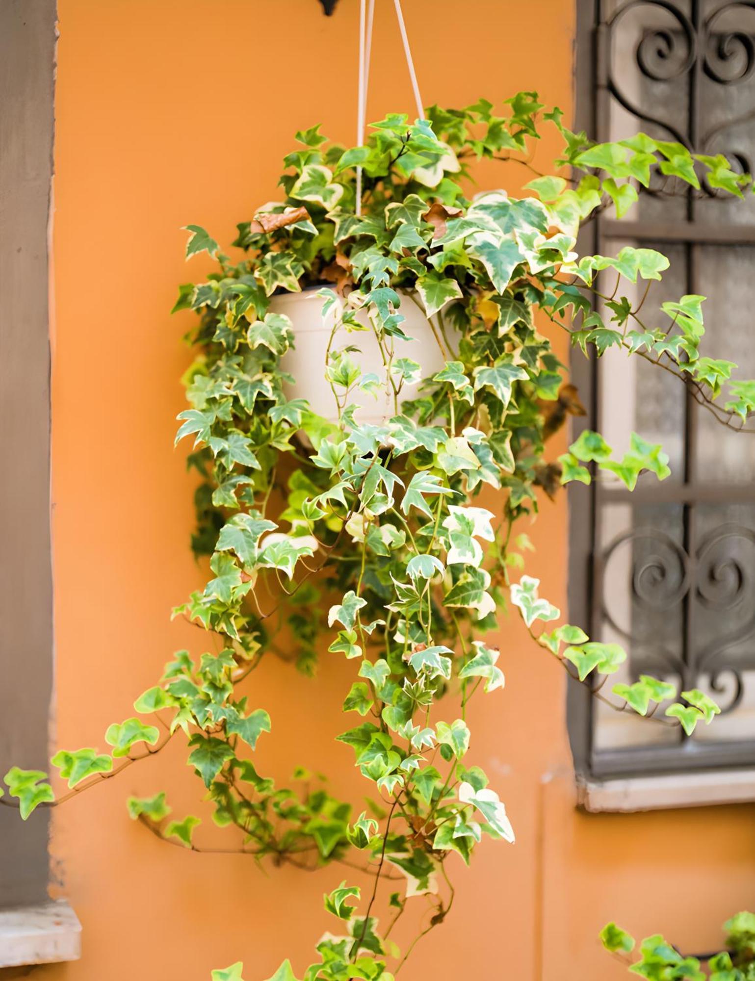 The Best Nest Roma Exterior foto